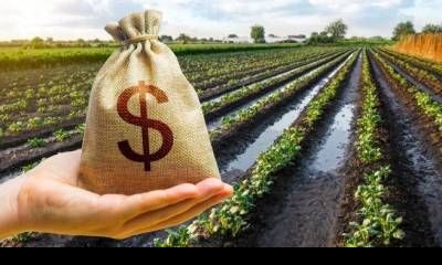 El Gobierno oficializó la baja de retenciones a la soja, maíz, girasol y la carne