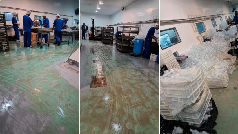Así producían el fentanilo mortal los empleados de los laboratorios Ramallo y HLB Pharma