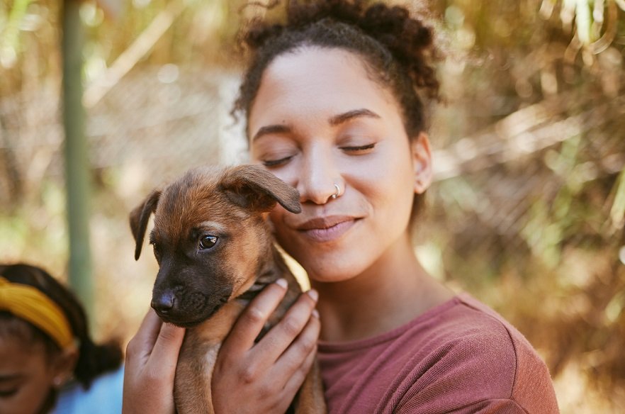 Perros sin hogar: un estudio mundial resalta e impulsa la importancia de adoptar