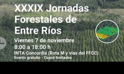 Todo dispuesto para la Jornada Forestal de Entre Ríos: una cita imprescindible del sector.