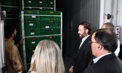 Producción citrícola regional llega al mercado ecuatoriano