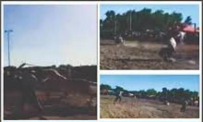 Un caballo murió en festival de destrezas criollas. ONG de Concordia será querellante en la causa.