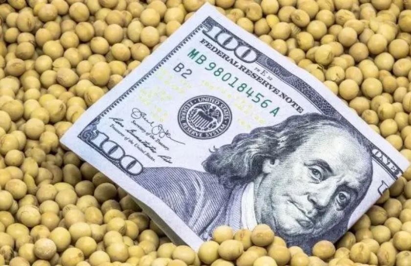 El Gobierno anunció una nueva baja de retenciones a las exportaciones de granos.