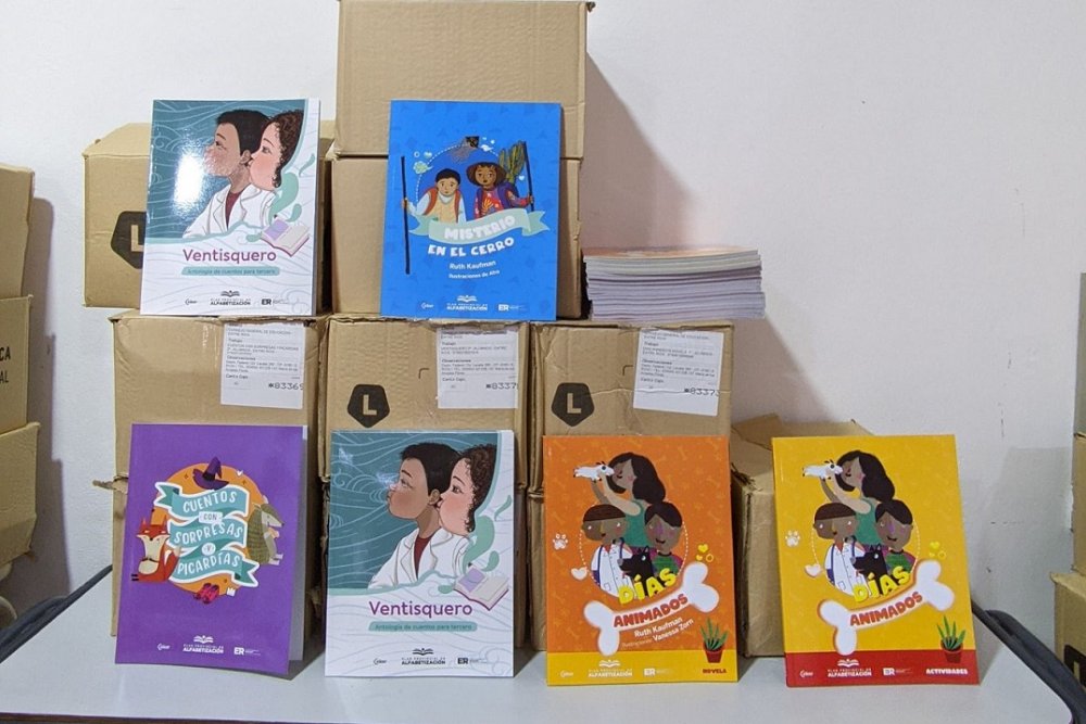 El CGE licitó la impresión de más de 103.000 libros para el próximo ciclo lectivo