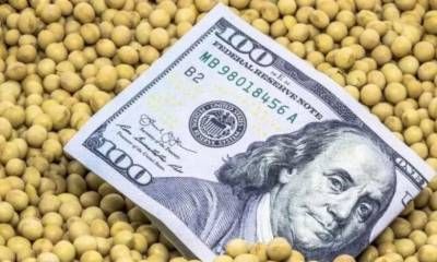 El Gobierno anunció una nueva baja de retenciones a las exportaciones de granos.