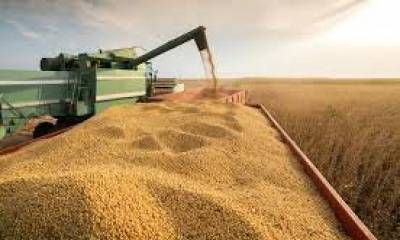 Con la publicación en el Boletín Oficial, el Gobierno oficializó la baja de las retenciones para el campo.