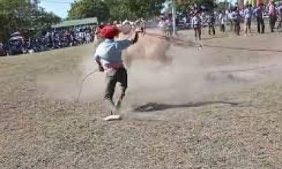 El Colegio de Veterinarios prohibió la participación de profesionales del sector en las “fiestas tradicionales de Pialadas a equinos”.