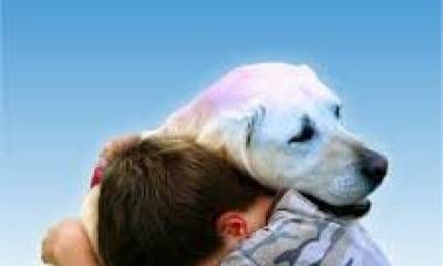 “Más luces, menos ruidos”: instan a reducir el uso de pirotecnia sonora en las Fiestas.