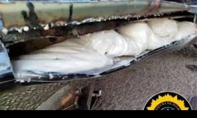 Secuestro de 14 kilos de cocaína en Ruta 14: incautaron vehículos y droga en nuevos allanamientos.