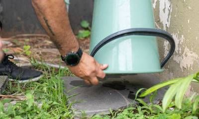 Salud recuerda la importancia de sostener el descacharrizado para prevenir el dengue