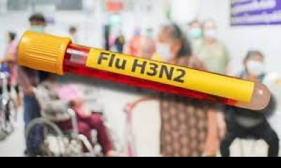 Detectaron un nuevo caso de la gripe H3N2 en Entre Ríos.