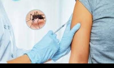 Nación enviará a Entre Ríos vacunas contra el dengue