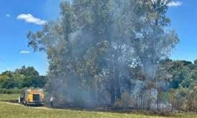 Se produjo un incendio en el Parque San Carlos y denuncian que fue intencional.