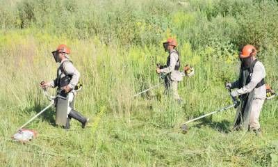 Con la intervención de diversas áreas, la municipalidad realiza un abordaje integral en el barrio San Miguel II