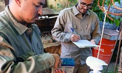 Se desarrolló en el norte entrerriano el monitoreo de flebótomos transmisores de la leishmaniasis visceral