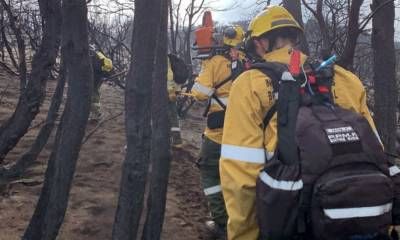 Concluyeron las tareas de los brigadistas entrerrianos en bosques patagónicos