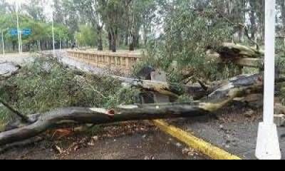 La Municipalidad realizó un primer informe sobre cómo afecta el temporal a Concordia.