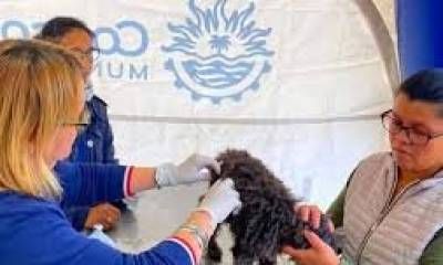 Programa de Esterilizaciones Barriales. Cronograma.