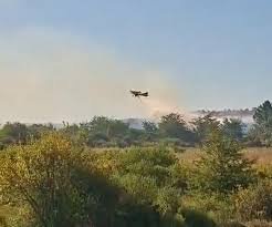 Importante incendio forestal en zona de la ruta A015.