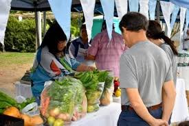 Feria de Emprendedores de la Economía Social en Plaza 25 de Mayo.