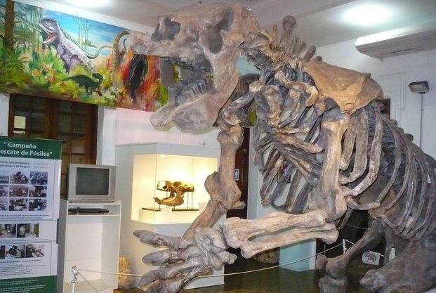 Nueva edición de la “La Noche de las Linternas” en el museo de antropología