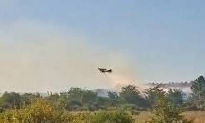 Importante incendio forestal en zona de la ruta A015.