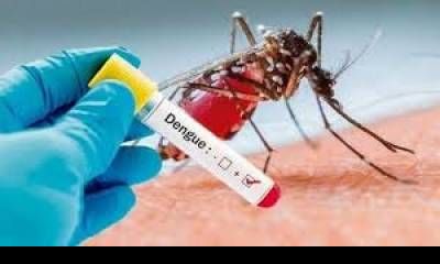 Dengue en Entre Ríos: tres casos importados y detectan circulación de una nueva variante.