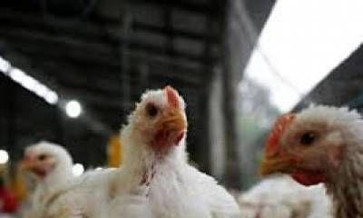 Mariela Gallinger: “Entre Ríos trabaja y se capacita para que el virus no llegue a la provincia”