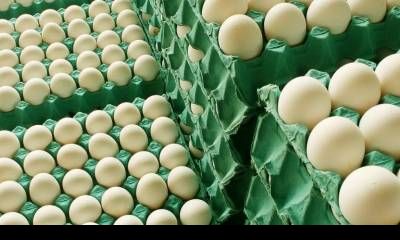 Legisladores entrerrianos proponen bajar el IVA al huevo del 21% al 10,5%