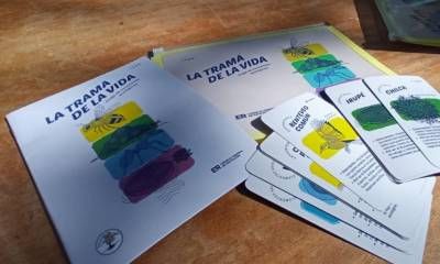 El CGE entregó materiales lúdicos sobre ambiente en escuelas entrerrianas