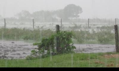 Alerta para el campo entrerriano: el otoño trae lluvias por encima de lo normal y riesgos para la cosecha