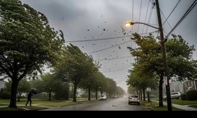 Anticipan la llegada de un “Súper El Niño”: qué significa y cómo impactará el fenómeno climático en Argentina