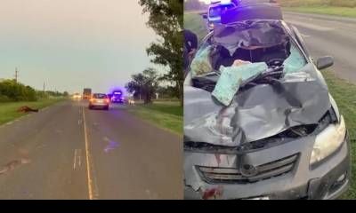 Un auto chocó contra un caballo y tres personas terminaron en el hospital