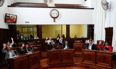 Concordia avanza hacia el fin de la tracción a sangre: un cambio de paradigma social y animal