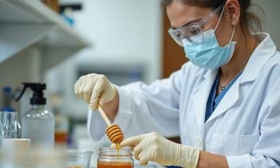 Entre Ríos lidera la producción de miel orgánica y consolida su perfil exportador con estándares internacionales