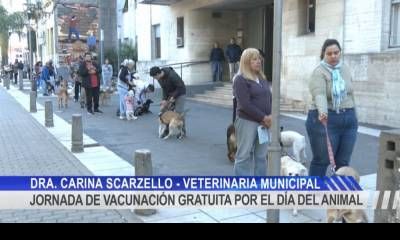 Día del Animal: vacunaron mascotas gratuitamente