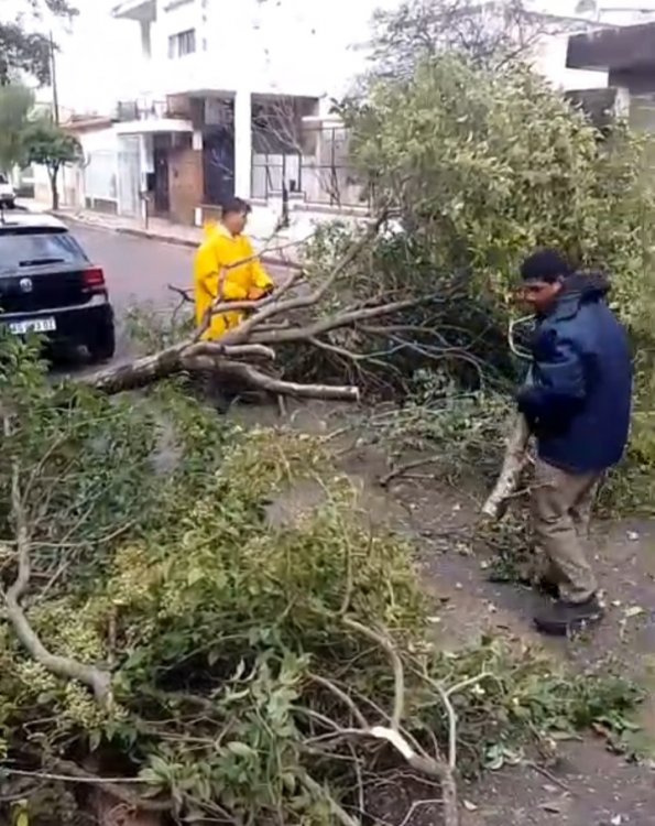 La municipalidad asiste a familias afectadas por el temporal