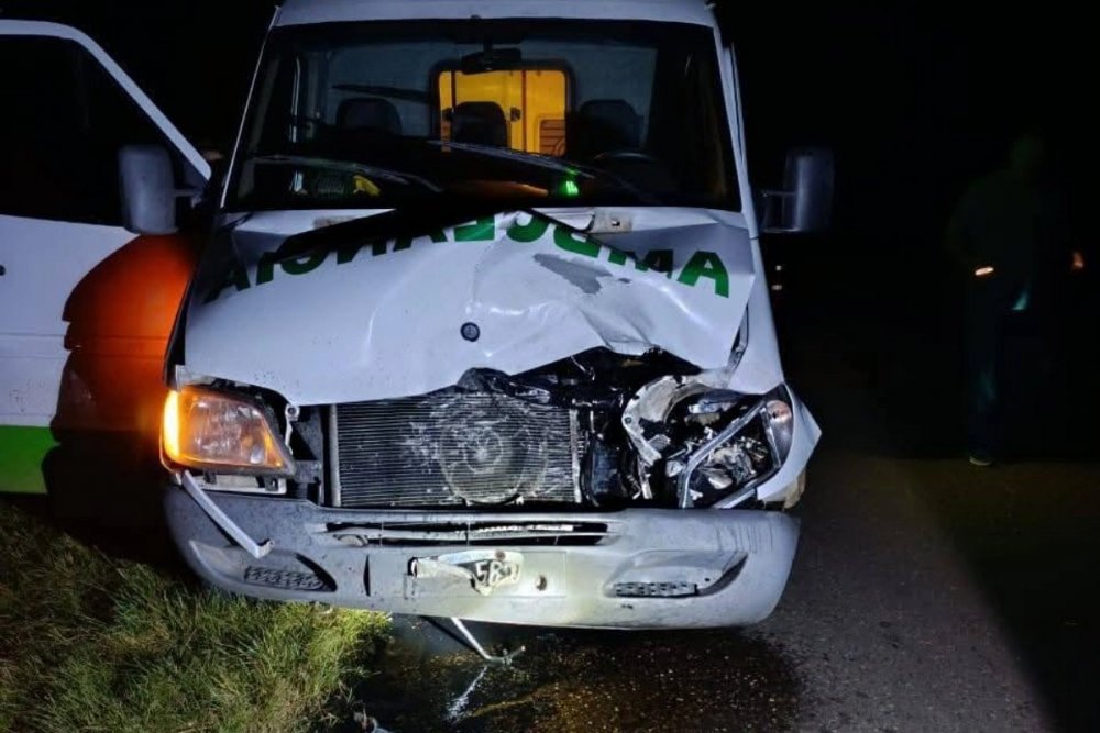 Una ambulancia impactó contra un animal que estaba sobre la Ruta 4
