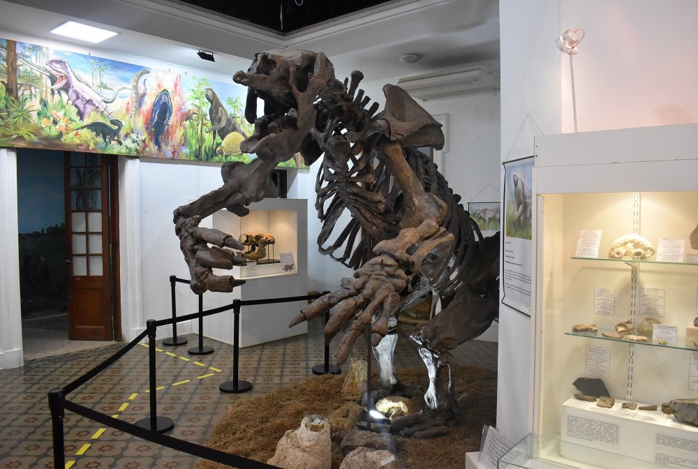 El Museo de Ciencias Naturales cumple 30 años custodiando nuestra historia.