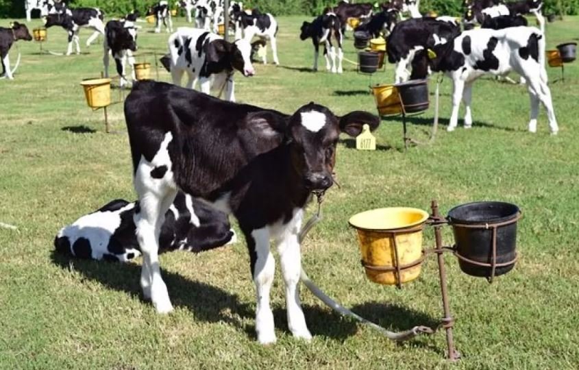 Destacan la vigencia de líneas de crédito para productores rurales entrerrianos por un cupo de 4.000 millones.