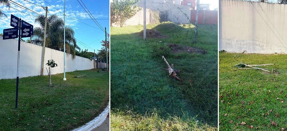 Se detectaron varios hechos de vandalismo contra el arbolado y la cartelería