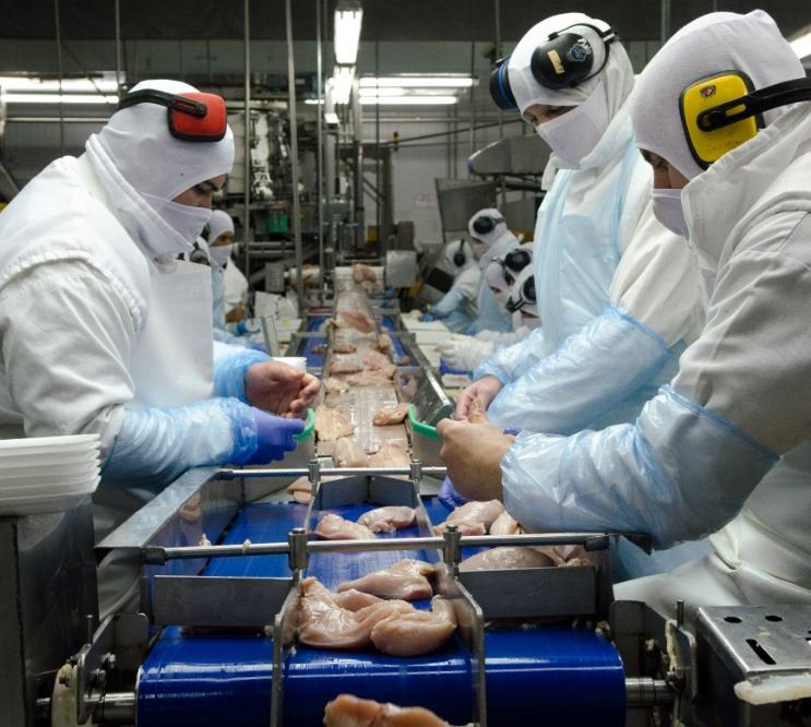 Las exportaciones de Entre Ríos crecieron 21 por ciento en el primer trimestre de 2026