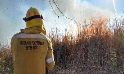 La provincia fortalece su estrategia de prevención y combate de incendios