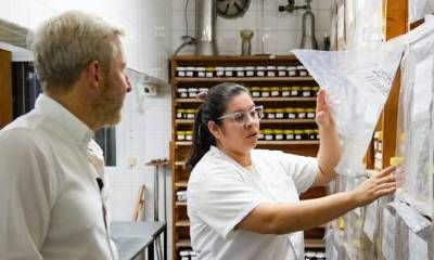Desde Concordia, Entre Ríos exportó a Europa el primer embarque de miel sin aranceles