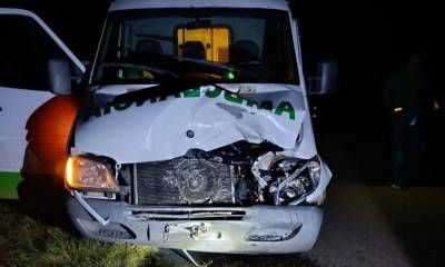 Una ambulancia impactó contra un animal que estaba sobre la Ruta 4