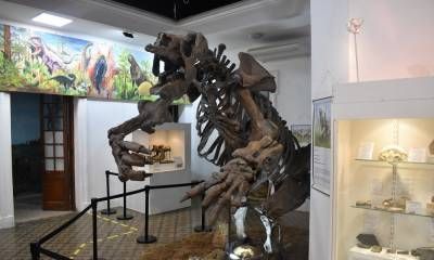 El Museo de Ciencias Naturales cumple 30 años custodiando nuestra historia.