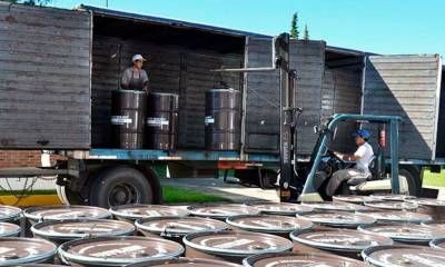 Polémica en el Mercosur: se agotó en 4 días el cupo para exportar miel con arancel cero a Unión Europea