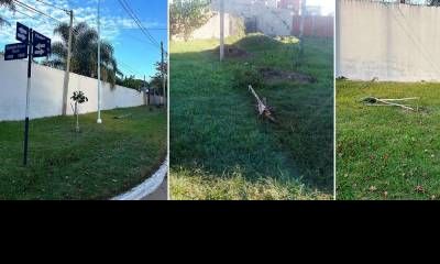 Se detectaron varios hechos de vandalismo contra el arbolado y la cartelería
