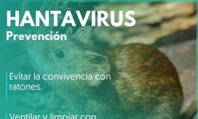 Hantavirus: las claves para la prevención de esta enfermedad