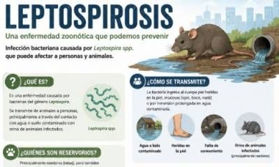 Entre Ríos registra 15 casos de leptospirosis en lo que va del año
